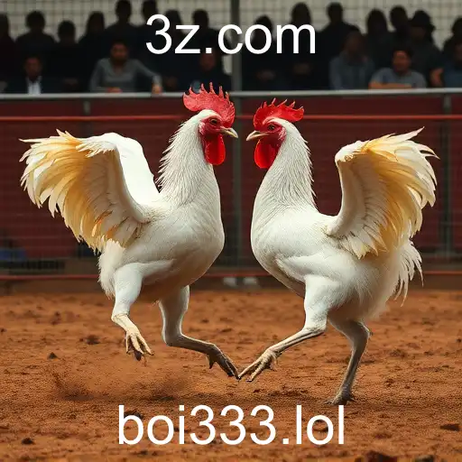 Rinhas de Galos: Tradição e Controvérsia